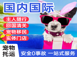 兴义万峰林机场快运国际宠物托运 【国